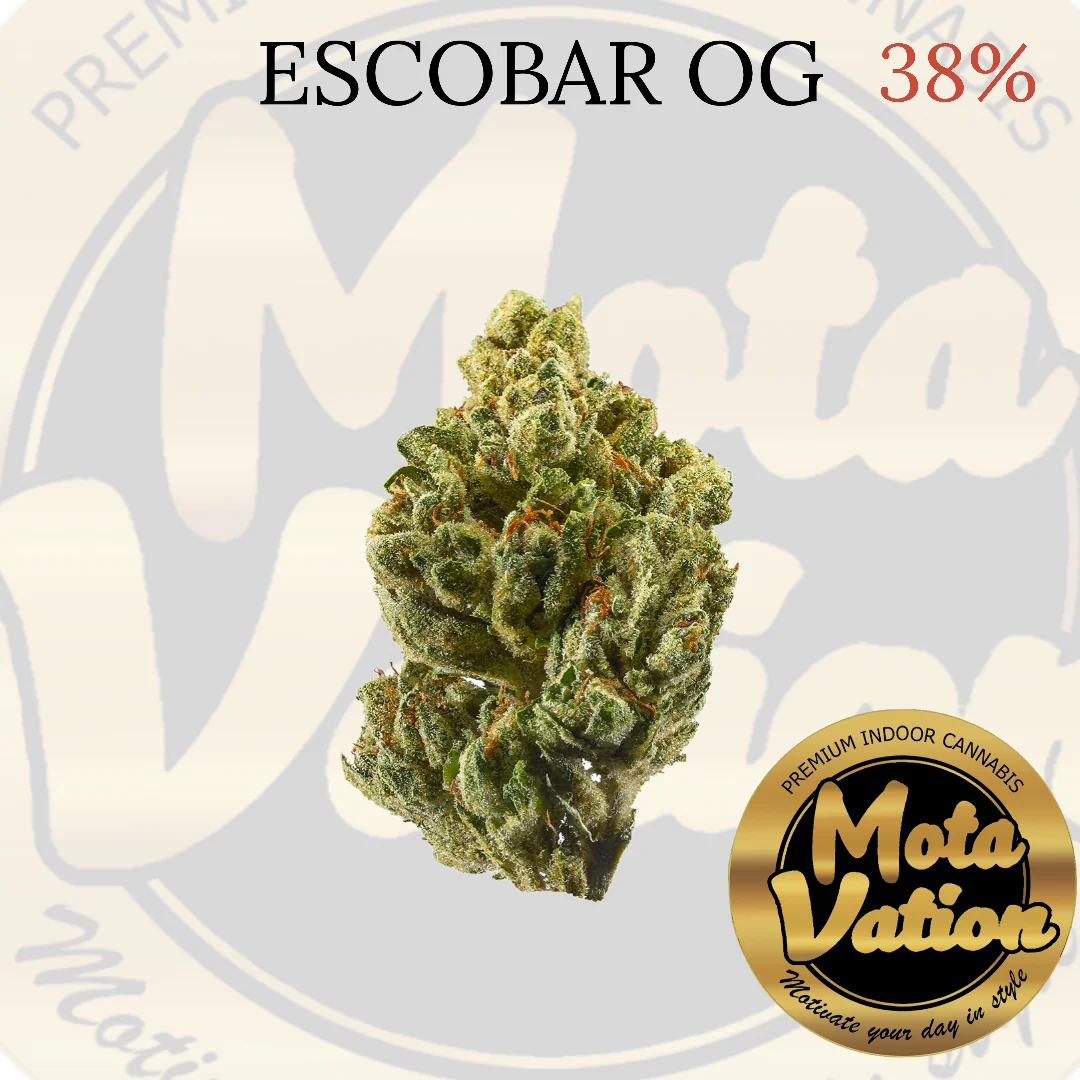 Mota-Vation Escobar OG 🔥🔥🔥🔥🔥🔥🔥🔥🔥 (Indica) 38% ***SUPER SALE***( 2 for $80)