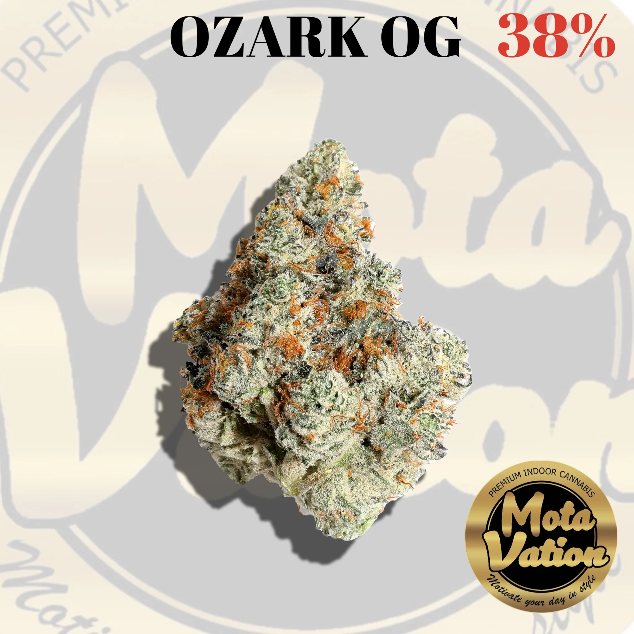 Mota-Vation OZARK OG 🔥🔥🔥🔥🔥🔥🔥🔥🔥 (Indica) 38%